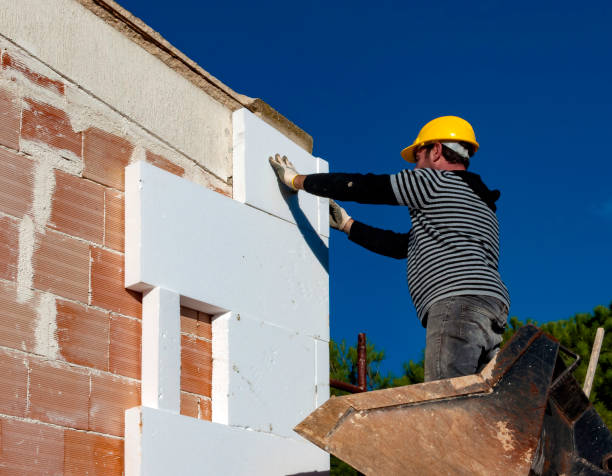 Best Insulation Maintenance and Repair in Chandler, IN