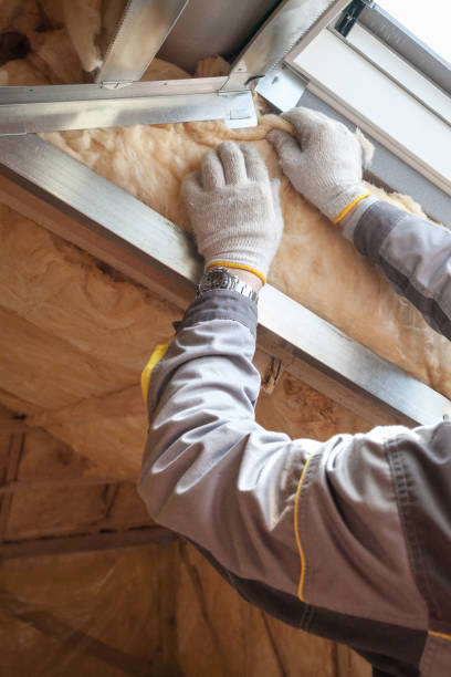 Best Cellulose Insulation in Chandler, IN