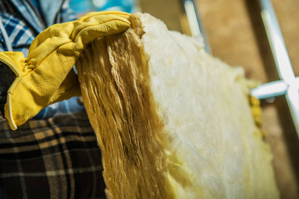 Best DIY Insulation Kits and Guidance in Chandler, IN